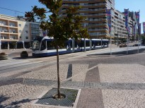 Almada_Train South Tejo (14)