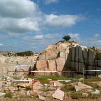 Rosa Sta. Eul&aacute;lia