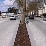 Urban Requalification Avenue D. Jos&eacute; Alves Correia da Silva